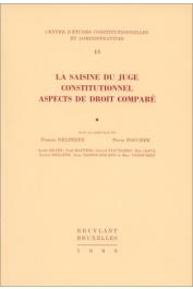  DELPEREE Francis, FOUCHER Pierre - La saisine du juge constitutionnel: aspects de droit comparé