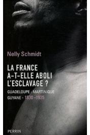  SCHMIDT Nelly - La France a-t-elle aboli l'esclavage ? : Guadeloupe-Martinique-Guyane (1830-1935)