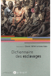  PETRE-GRENOUILLEAU Olivier - Dictionnaire des esclavages