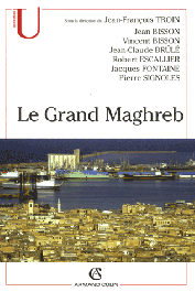  TROIN Jean-François (sous la direction de) - Le Grand Maghreb (Algérie, Libye, Maroc, Mauritanie, Tunisie): Mondialisation et construction des territoires