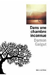  GALGUT Damon - Dans une chambre inconnue