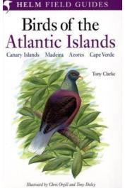  CLARKE Tony - Field Guide to the Birds of the Atlantic Islands: Canary Islands, Madeira, Azores, Cape Verde