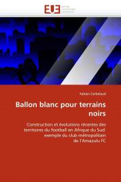  CERBELAUD Fabien - Ballon blanc pour terrains noirs. Construction et évolutions récentes des territoires du football en Afrique du Sud : exemple du club métropolitain de l'Amazulu FC