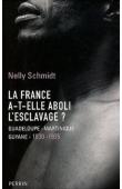  SCHMIDT Nelly - La France a-t-elle aboli l'esclavage ? : Guadeloupe-Martinique-Guyane (1830-1935)