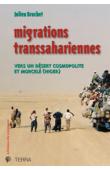  BRACHET Julien - Migrations transsahariennes. Vers un désert cosmopolite et morcelé (Niger)