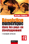  BONJAWO Jacques - Révolution numérique dans les pays en développement. L'exemple africain