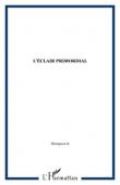  THOMPSON FARRIS Robert - L'éclair primordial. Présence africaine dans la philosophie et l'art afro-américains