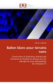  CERBELAUD Fabien - Ballon blanc pour terrains noirs. Construction et évolutions récentes des territoires du football en Afrique du Sud : exemple du club métropolitain de l'Amazulu FC