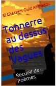  OULD AHMEDOU El Ghassem - Tonnerre au dessus des vagues (Pensées sur un monde à la dérive) version kindle