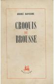  DAVESNE André - Croquis de brousse