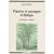 Plantes et paysages d'Afrique. Une histoire à explorer