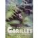  SCHALLER George Beals, NICHOLS Michael, (photographies) - Gorilles. Les survivants des Birunga
