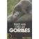  FOSSEY Dian - Treize ans chez les gorilles