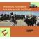 Actes du 13eme Colloque international du réseau Méga-Tchad -  Migrations et mobilité dans le bassin du lac Tchad