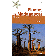  ALLORGE Lucile - Plantes de Madagascar. Atlas (avec 1 CD Rom)
