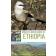 SPOTTISWOODE Claire, GABREMICHAEL Merid, FRANCIS Julian - Where to Watch Birds in Ethiopia
