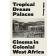  GOERG Odile - Tropical Dreams Palaces. Cinema in Colonial West Africa
