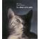  COUTO Mia, BOUVIER Stanislas (illustrations) - Le Chat et le noir